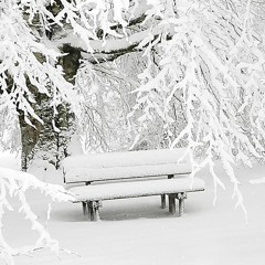Walking Through Deep Snow 🌨 Episode 1