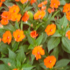 eu to aqui <3 + @loreskrr