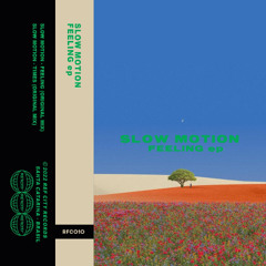 RFC010 Slow Motion - Feeling Ep (Original Mix)