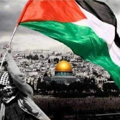 عربى - أدهم عساف ARABI || ADHAM ASSAF