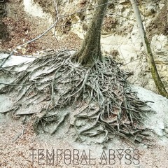 Temporal Abyss by The Buddha Pests