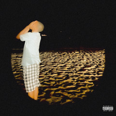 MELQUIZIN - BON VOYAGE