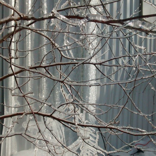 Bleupulp - No Snow In 2016