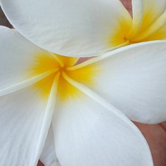 🇵🇫Angelo & Barthélémy - Hine Nao 🇵🇫 Tahiti song 🇵🇫