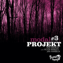 Modal Projekt - Polylove (Edit)