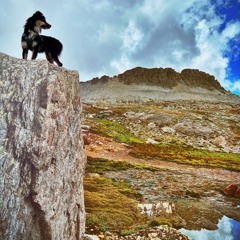 She Dreams of False Summits