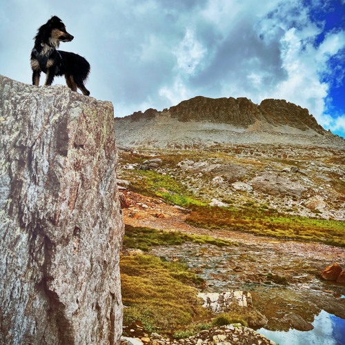 She Dreams of False Summits