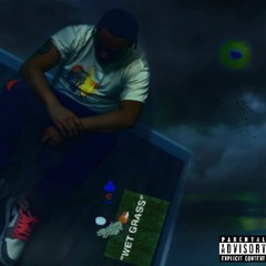 You Didnt but You Would