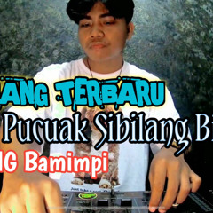 Dj Minang Terbaru Patah Pucuak Sibilang Bilang Full Bass Gamang Bamimpi 2022
