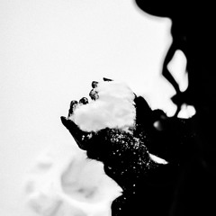 DIAMOND SOUL (ft. slowfade) [prod. xtasane]