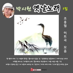 돌아오지않는강