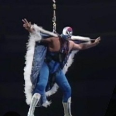 fallin' (Rip Owen Hart)