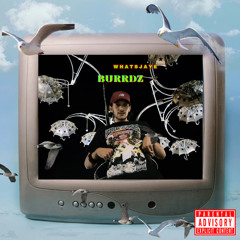 whatsjaye - Burrdz (prod. Mathiustyner)