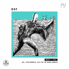 PREMIERE: DSF - What I Feel (Juan Deminicis Remix) [Kitchen Recordings]