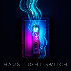 Haus Light Switch