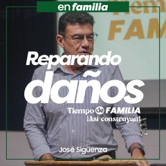 Reparando daños - José Sigüenza