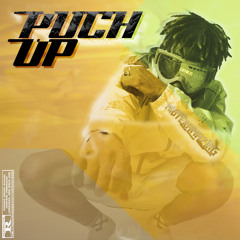 Puch up