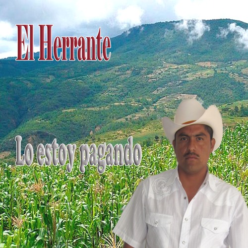 Stream Flor de garambullo by El Herrante | Listen online for free on  SoundCloud