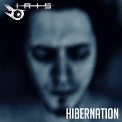 Hibernation