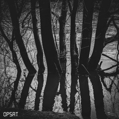 OPSAT - The Bleak