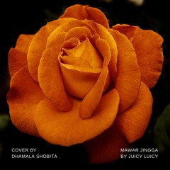 Mawar Jingga - Juicy Luicy (Cover by Dhamala Shobita)