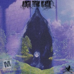 NORTH TOWN REAPER