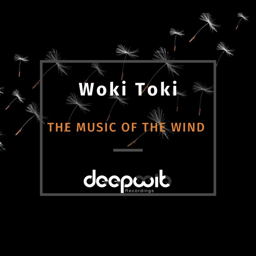 Premiere: Woki Toki - Birds Song (Alvaro Hylander Remix) [DeepWit Recordings]