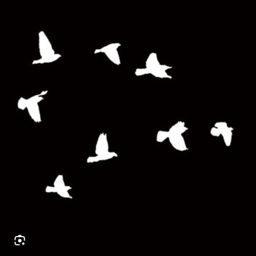 All I Ever Want : Ganesha