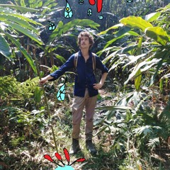 Trail 17