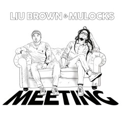 Liu Brown & Mulocks - Data War