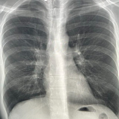 shev4eg - Da. Sha., а також про Артура