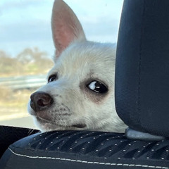 Charlie
