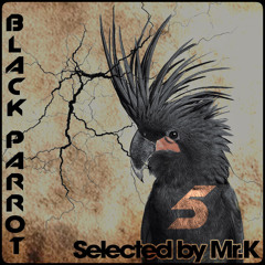 Black Parrot Vol.5 - Selected By Mr.K
