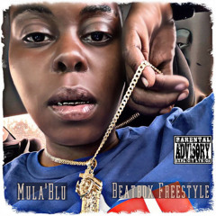 Mula'Blu- Beatbox Freestyle
