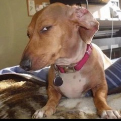 AirBend Mash up. ZESSER!!!