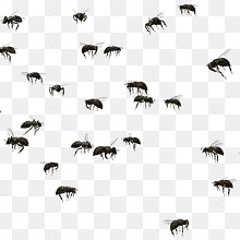 People Are Turning Into Insects The Horrible Men