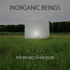 Inorganic Beings