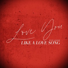 LOVE YOU LIKE A LOVE SONG