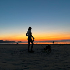 shy sky (F)