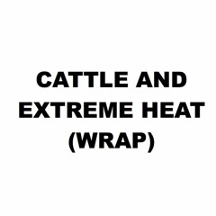 Extreme Heat And Cattle (wrap)