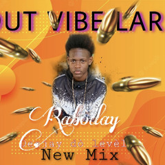 BOUT VIBE LARI A