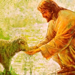 Feed my sheep