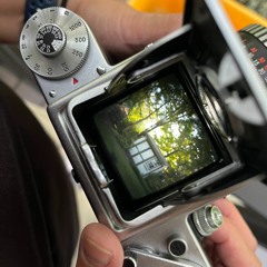 paper mache world - cover of song by Matilda Mann