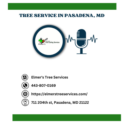 does-fema-cover-tree-removal-expenses-in-md