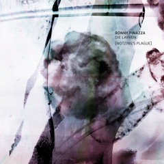 Ronny PInazza - Die Larven (Notzing Remix)
