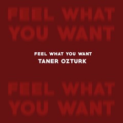 Phonique - Feel What You Want Feat. Rebecca (Taner Ozturk Remix)