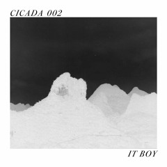 CICADA 002 | IT BOY