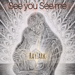 SeeYou See Me
