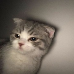 Валентин Стрыкало Наше Лето slowed