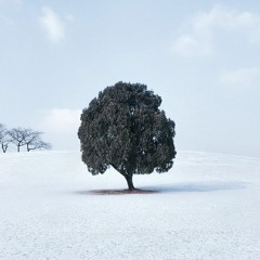 Silence (Feat. 지현)